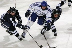 开云体育官方网站登陆-朝鲜女足U17全胜夺冠震惊世界！，朝鲜女足u17全胜夺冠震惊世界了吗